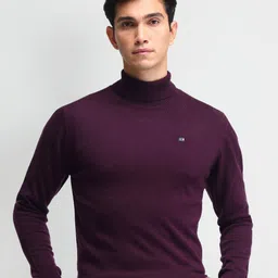 Arrow Sport Men Cotton Turtle Neck Long Sleeves Pullover-image-83