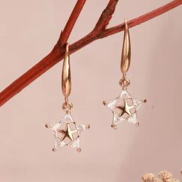 Aatmana Silver Statement Crystal Studded Star Drop Earring-30