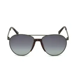 Timberland Multi Pilot Sunglasses for Men-image-11