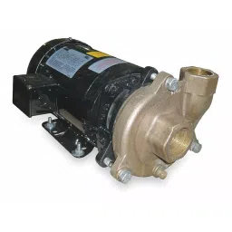 Dayton 3 HP Three Phase Centrifugal Pump, 2ZWT7-image-66