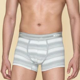 XYXX Cloud Grey Cotton Regular Fit Striped Trunks-picture-32