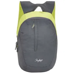 Skybags 15 Ltrs Grey Medium Backpack-22