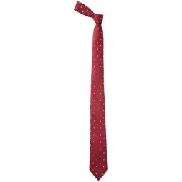 Louis Philippe Maroon Printed Tie-image-19