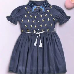 Bella Moda Girls Blue Cotton Half Sleeves Honey Bee Embroidered Dress-image-48