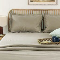 House This Beige Cotton 400 TC King Bedsheet with 2 Pillow Covers-image-61