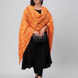 Aditi Wasan Orange Printed Dupatta image 4