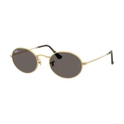 Ray-Ban Evolution Grey Oval UV Protection Unisex Sunglasses-15