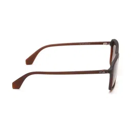 Irus IRS1190C2PSG Brown Square Sunglasses image 4