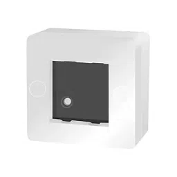GreatWhite 2 Module Solo Plate With Surface Box in White Color and Plastic Body, 20502-wBOX (Pack of 10)-29