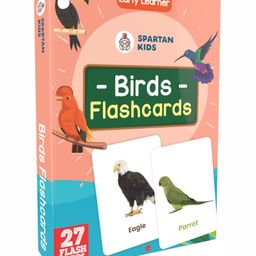Aditi Toys Birds Flash Cards - Educational Cards for Kids to Learn About Birds, Ideal for Preschool Learning-12