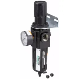 SPEEDAIRE 19.05 mm (3/4 Inch) NPT 212 cfm Filter-Regulator 40 m, 4ZL02 image 2
