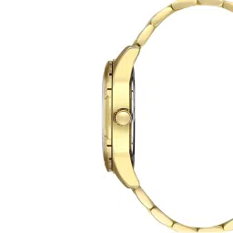 Daniel Klein DK.1.13468-3 Premium Analog Watch for Women image 4