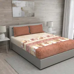 GM Brown & Beige 100% Cotton 150 TC Queen Bedsheet Set-image-43