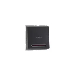 Philips 32 A 2 Module DP Switch Metallica Grey, 913713973301-35
