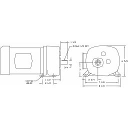 DAYTON Parallel Single Output Shaft Split-Phase, TEFC 5.4 RPM, 0.25 hp Input, 4 A ACGear Motor, 6Z399 image 2