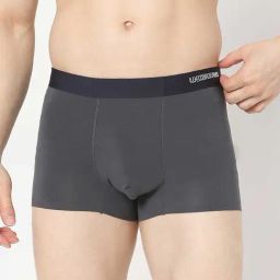 UnderJeans by Spykar Dark Grey Regular Fit Trunks-picture-19