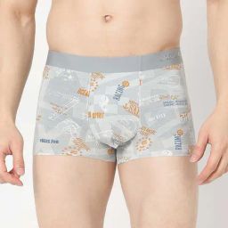 UnderJeans by Spykar Light Grey Regular Fit Printed Trunks-picture-7