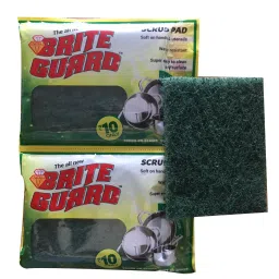 Brite Guard Green Scrubber Pad 3x4 Inch Pack of 2 Piece ASM-105-10-18