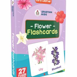 Aditi Toys Flower Flash Cards - Fun and Easy Preschool Learning for Kids-27