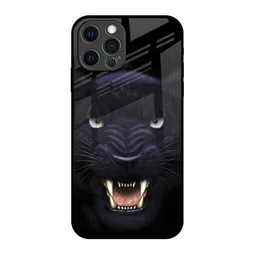 QRIOH Quirky Printed iPhone 12 Pro Back Case Mobile Accessories-picture-53