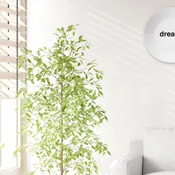 THE QUIRKY HOME White & Black Dream Printed Ceramic Premium Decorative Wall Decor-image-73