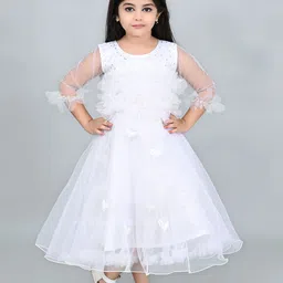 Zenat Flared Sleeve Layered Net Fit & Flare Dress-image-89