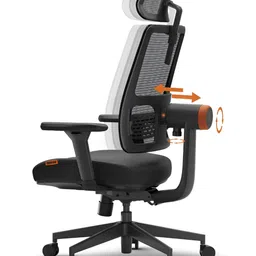 DROGO Black Study Arm Chair With 4D Armrest-image-2