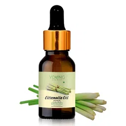 YOUNG CHEMIST Citronella Essential Oil - 30 ml-image-77