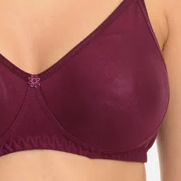 mod & shy Non Padded Full Coverage T-shirt Bra With All Day Comfort image 2