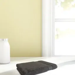 Spaces Econova Dark Grey 550 GSM Cotton Hand Towel - Set of 2-48