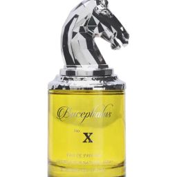 Armaf Niche Bucephalus No. X Eau de Parfum for Women - 100 ml-picture-29
