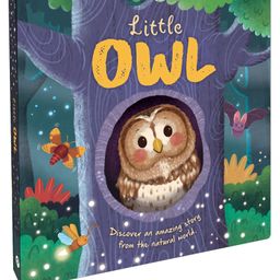 Little Owl | Discover An Amazing Story of Owl | Story Book | Board Book for Kids-23
