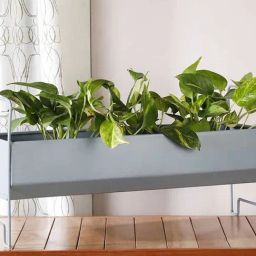Caddy Handcrafted Mint Metal Planter-image-6