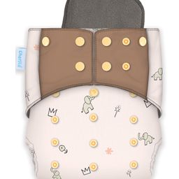 Cherilo Leakproof Washable Baby Diaper - ( 1 Crown Baby Pattern Diaper with 1 Insert)-13