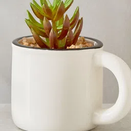 Home Centre White 1 Pieces Croton Artificial Plant With Pot-image-15