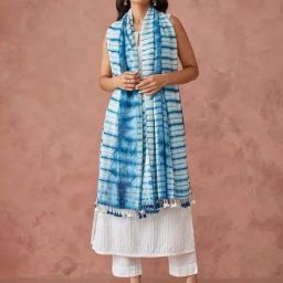 Fabindia Blue Printed Stole-image-61