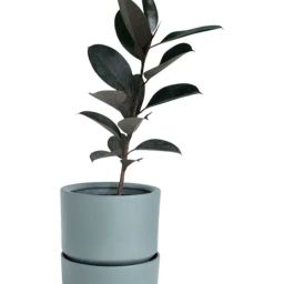 Freedom Tree Concrete Grey Ceramic Planter With Tray-image-37