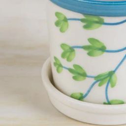 Freedom Tree Kongu Herb Red Planter With Tray image 3
