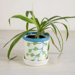 Freedom Tree Kongu Herb Red Planter With Tray image 2
