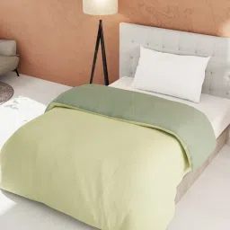 Bianca Ultra Soft Olive & Sage 152 TC Micro Fabric Single Reversible Comforter For All Weather image 3