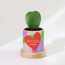 Love Is All Around - Heart Hoya Plant With Personalized Planter-image-87