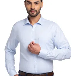 Park Avenue Blue Slim Fit Striped Shirt-picture-27