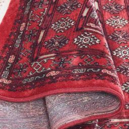 Obsessions Red Classical Carpet - Small image 5