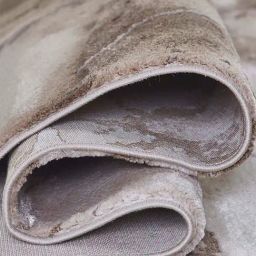 Obsessions Light Beige & Brown Abstract Carpet - Large image 4