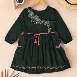 BAESD Girls Floral Embroidered Fit & Flare Dress-picture-21