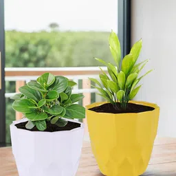 Kuber Industries White & Yellow 2 Pieces Textured Flower Pots Planters-32
