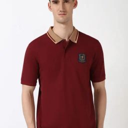 Peter England Maroon Cotton Polyblend Regular Fit T-Shirt-image-102