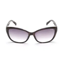 IRUS By IDEE IRS1048C3SG Purple Cat Eye Sunglasses-image-92