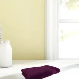 Spaces Econova Violet 550 GSM Cotton Hand Towel - Set of 2-20