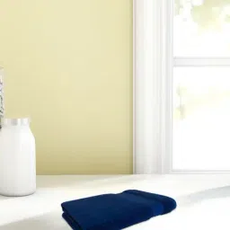 Spaces Econova Dark Blue 550 GSM Cotton Hand Towel - Set of 2-66